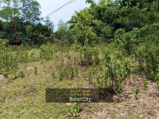 (Category: ) located in . Submitted by 27crealty-2 (Listing ID 1335323924, Image 1). Description: .