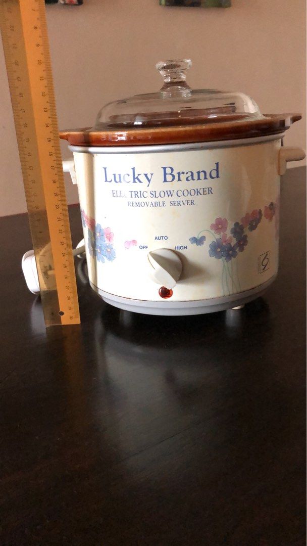 Small slow cooker