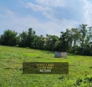 Spacious Lot for Sale in Bataan (Category: Lot) located in Quezon City. Submitted by 27crealty-2 (Listing ID 1335321347, Image 1). Description: This expansive 114,911 sqm lot in Bataan offers a unique opportunity for investors and developers looking for large-scale land in a promising location. Bataan is known for its rich history, natural beauty, and strategic location near key industrial and commercial hubs like the Freeport Area of Bataan (FAB