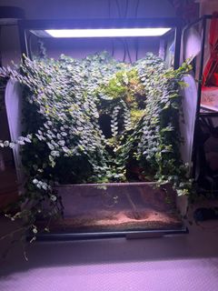 (Category: ) located in . Submitted by mrbryan (Listing ID 1335391481, Image 1). Description: .