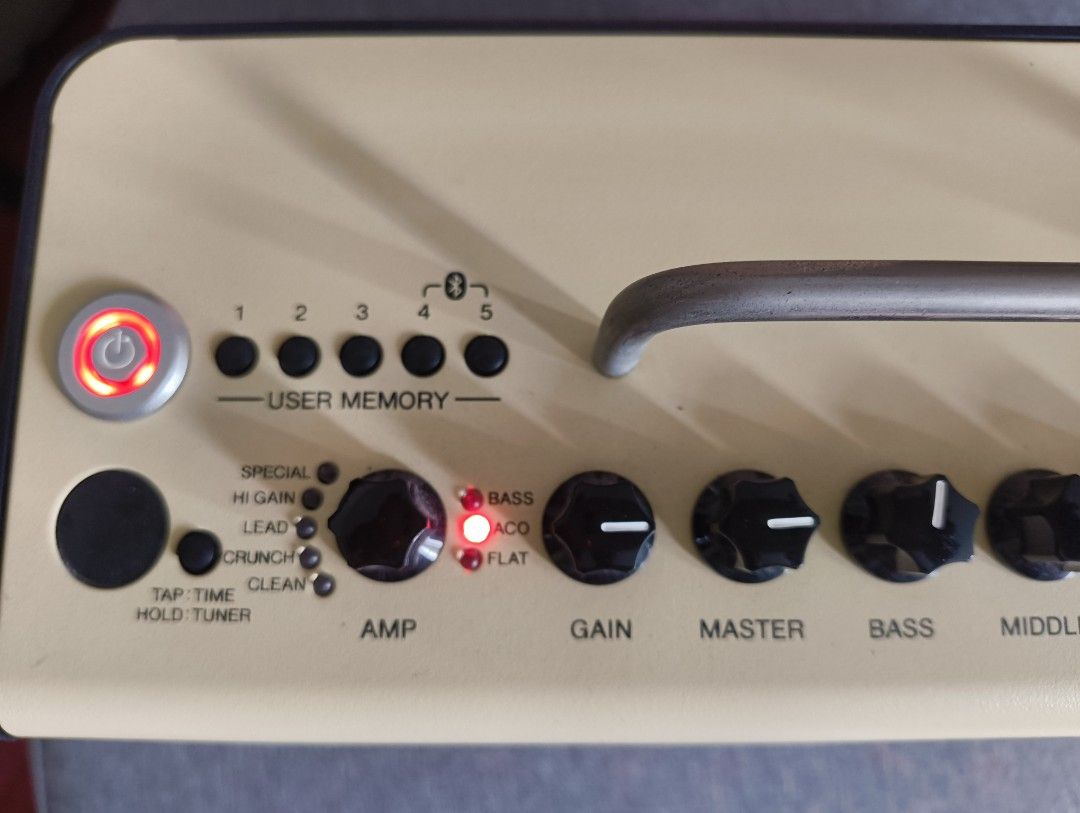 Yamaha THR10ii non rechargeable battery