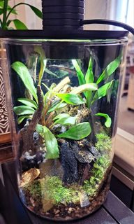 （分類：）位於 。 由 wirelessj 提交（商品編號 1331511416，圖片 1）。簡介： 。