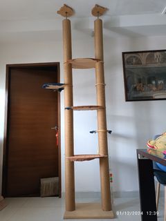 (Category: ) located in . Submitted by mbear_sells (Listing ID 1339258792, Image 1). Description: .