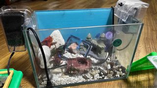 (Category: ) located in . Submitted by seniormen (Listing ID 1339364145, Image 1). Description: .