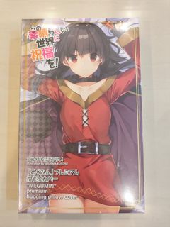 Dakimakura pillow For Sale Toys Games Carousell Singapore