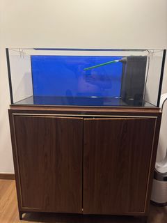 (Category: ) located in . Submitted by maxmillan______ (Listing ID 1339358289, Image 1). Description: .