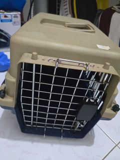 (Category: ) located in . Submitted by pet_loverr (Listing ID 1339315481, Image 1). Description: .