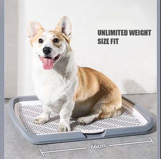 (Category: ) located in . Submitted by pawliday (Listing ID 1339274098, Image 1). Description: .
