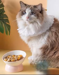 (Category: ) located in . Submitted by pawliday (Listing ID 1339272022, Image 1). Description: .