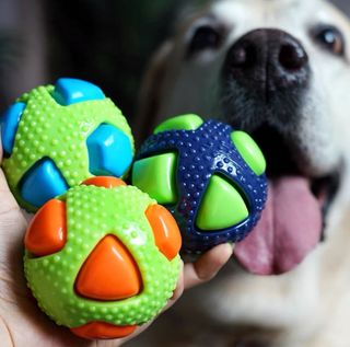 (Category: ) located in . Submitted by pawliday (Listing ID 1339271716, Image 1). Description: .