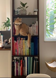（分類：）位於 。 由 lvc_20 提交（商品編號 1339219154，圖片 1）。簡介： 。