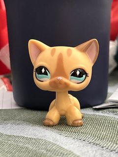 Lps shorthair cat 886 shop