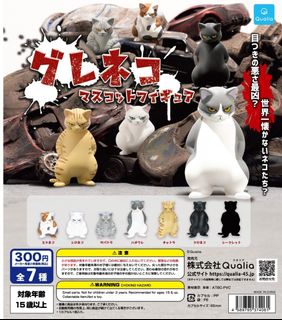 （分類：）位於 。 由 oppa.w 提交（商品編號 1341006985，圖片 1）。簡介： 。
