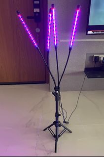 (Category: ) located in . Submitted by louisbk (Listing ID 1340894952, Image 1). Description: .