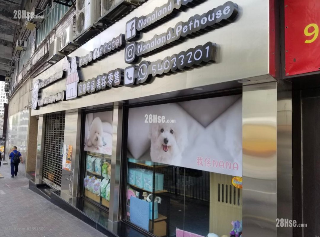 💥Great investment opportunity! Rare and attractive double-unit commercial shop for sale in the same area at a special flat price (no commission)💥634389028935711113