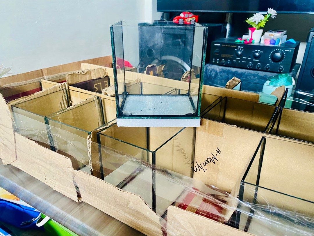 Betta Fish Tank (Category: Homes & Other Pet Accessories) located in San Jose del Monte. Submitted by gadget_chromez (Listing ID 1341033337, Image 1). Description: Betta Fish Tank 4x5x5 Black Sealant BRANDNEW.