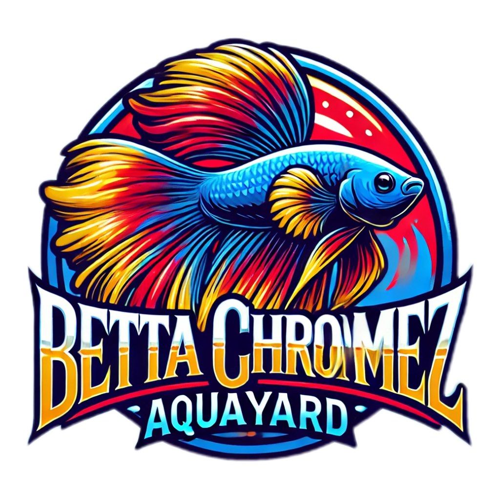 Betta Fish Tank (Category: Homes & Other Pet Accessories) located in San Jose del Monte. Submitted by gadget_chromez (Listing ID 1341033337, Image 3). Description: Betta Fish Tank 4x5x5 Black Sealant BRANDNEW.