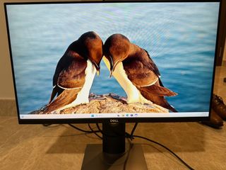 (Category: ) located in . Submitted by ettn1980 (Listing ID 1340838985, Image 1). Description: .