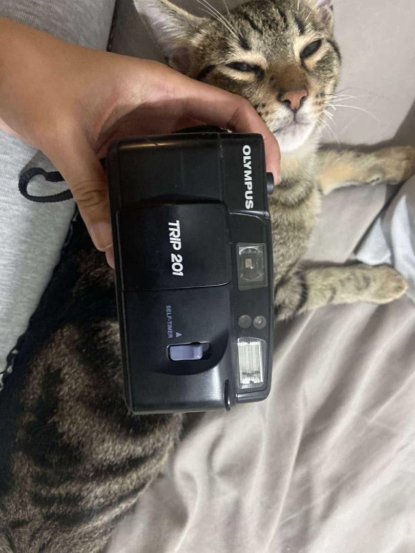 Film Camera- Olympus Trip 201- Auto Flash (Category: Cameras) located in Caloocan City. Submitted by alaizaaara44085 (Listing ID 1340930320, Image 2). Description: Never tried or tested, but looks okay pa. Hindi po kasama yung pusa Shipping thru LBC/meet up in SM Baguio.