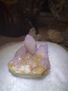 (Category: ) located in . Submitted by crystalcatch (Listing ID 1341024542, Image 1). Description: .