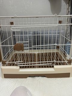 （分類：）位於 。 由 sthidontuse 提交（商品編號 1341080376，圖片 1）。簡介： 。