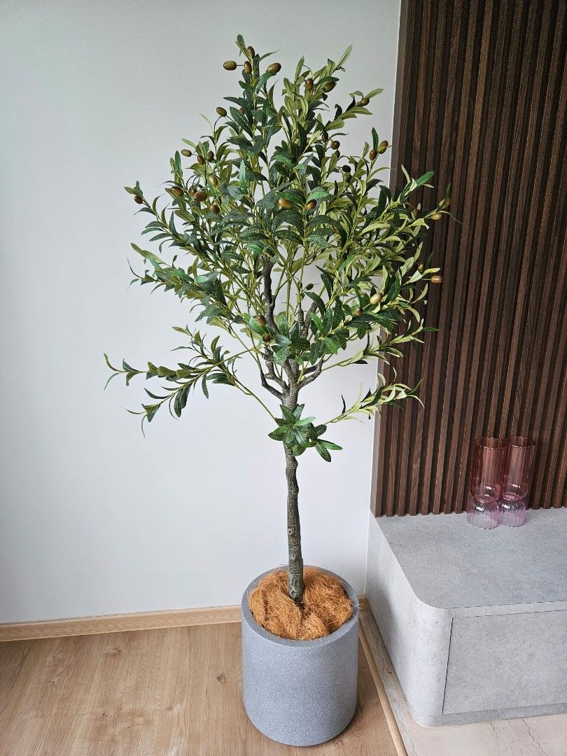 Decorative plant65075515729666111