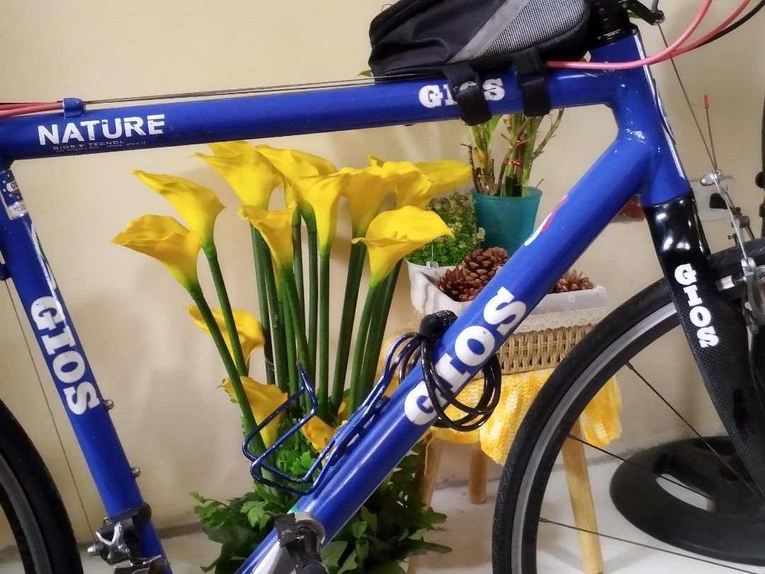 Gios Bike (Category: Bicycles) located in Guiguinto. Submitted by renzb12 (Listing ID 1341307609, Image 3). Description: Road Bike Gios brand original lahat Alloy Carbon bike frame Bagong linis buong bike at parts Complete accessories: 4x ilaw sa likod 2x flashlight sa manibela 1x lalagyan ng bottle 1x bike lock 1x bag 1x cellphone holder water resistant 4x grip Meetup around Bulacan.
