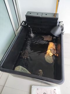 (Category: ) located in . Submitted by aquaticsolutions (Listing ID 1341302365, Image 1). Description: .