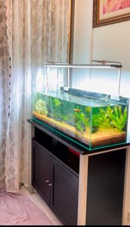 (Category: ) located in . Submitted by aaronmontague (Listing ID 1341442222, Image 1). Description: .