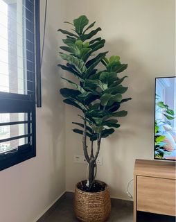 (Category: ) located in . Submitted by brommie.sg (Listing ID 1338838859, Image 1). Description: .