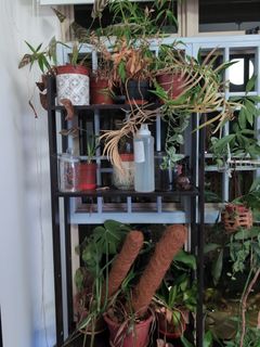(Category: ) located in . Submitted by ssato (Listing ID 1341704994, Image 1). Description: .