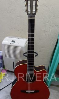 Ibanez Classical Guitar
