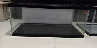 (Category: ) located in . Submitted by anakinroy (Listing ID 1341909795, Image 1). Description: .
