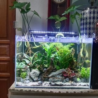 (Category: ) located in . Submitted by glamourbikes (Listing ID 1341882128, Image 1). Description: .