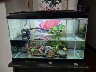 (Category: ) located in . Submitted by beta101 (Listing ID 1341929146, Image 1). Description: .