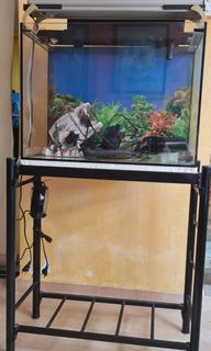 (Category: ) located in . Submitted by coolseller7 (Listing ID 1341824042, Image 1). Description: .
