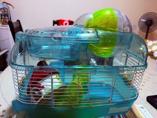 (Category: ) located in . Submitted by hyonglin (Listing ID 1341897162, Image 1). Description: .