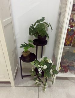 (Category: ) located in . Submitted by pt199000 (Listing ID 1341944870, Image 1). Description: .