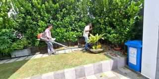 (Category: ) located in . Submitted by prettylandscapers (Listing ID 1342043720, Image 1). Description: .