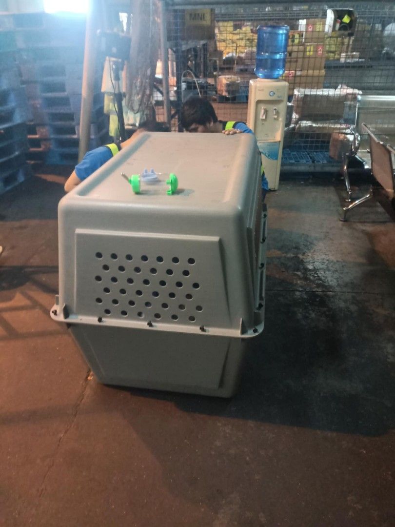 Petmate Pet Carrier Sky Kennel (Category: Homes & Other Pet Accessories) located in Davao. Submitted by asdfghjkenth_ (Listing ID 1342084509, Image 2). Description: Want to sell, Petmate Pet Carrier Giant Sky Kennel Airline approved. DM for more details, NEGOTIABLE or OPEN FOR HEARING OFFER ma'am/sir..