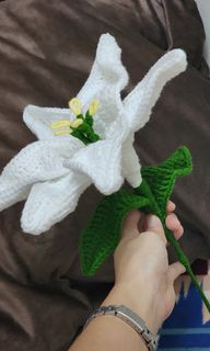 (Category: ) located in . Submitted by sandyichigo (Listing ID 1342019891, Image 1). Description: .