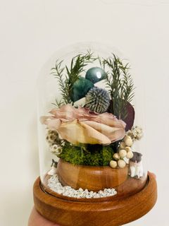 （分類：）位於 。 由 willomaple 提交（商品編號 1342118834，圖片 1）。簡介： 。