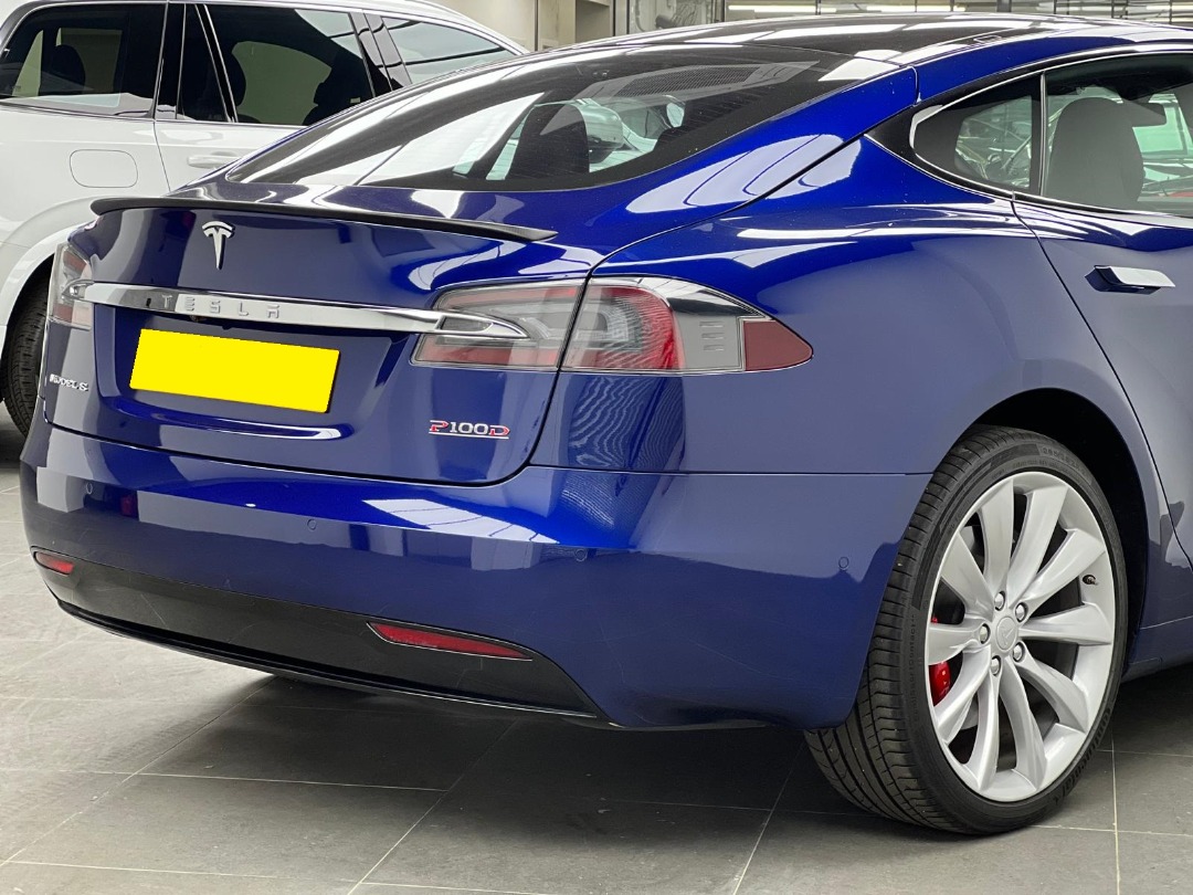 Tesla Model S P100D (A)62863172730113113