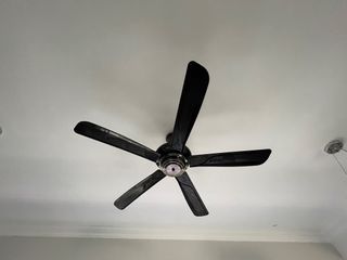 (Category: ) located in . Submitted by lexan (Listing ID 1342182774, Image 1). Description: .