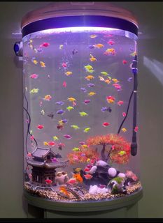(Category: ) located in . Submitted by ehhshiraa (Listing ID 1342292107, Image 1). Description: .