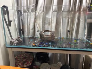 (Category: ) located in . Submitted by kennethchan881 (Listing ID 1342312734, Image 1). Description: .