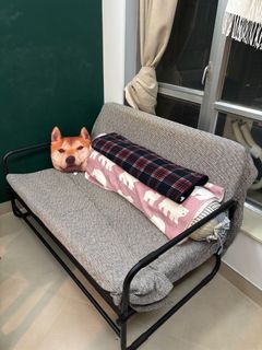 （分類：）位於 。 由 lamyeeyee 提交（商品編號 1342308363，圖片 1）。簡介： 。