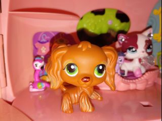 (Category: ) located in . Submitted by jd.items (Listing ID 1342270735, Image 1). Description: .