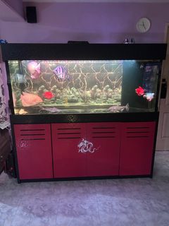 (Category: ) located in . Submitted by gunner00 (Listing ID 1342257911, Image 1). Description: .
