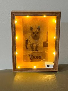 (Category: ) located in . Submitted by gift_pax (Listing ID 1342254555, Image 1). Description: .